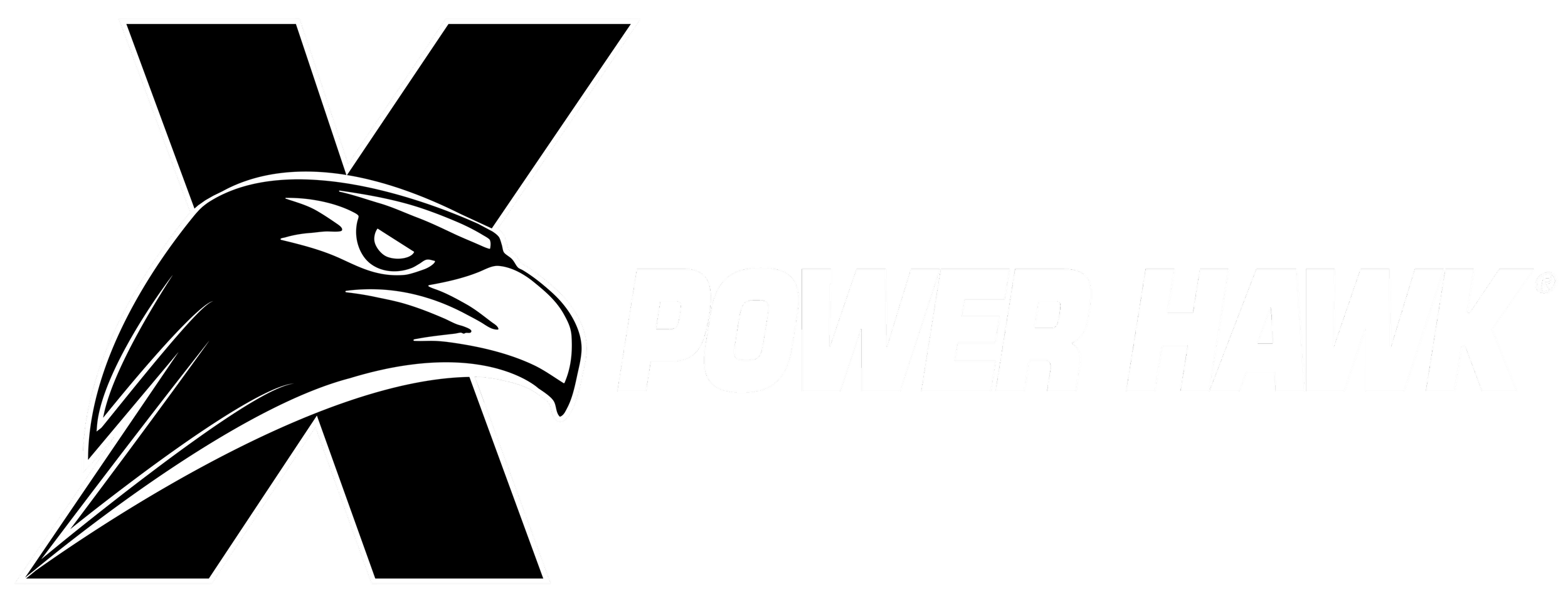Power Hawk logo